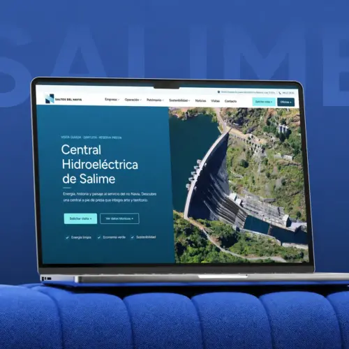 diseno de sitio web profesional cliente saltos del navia