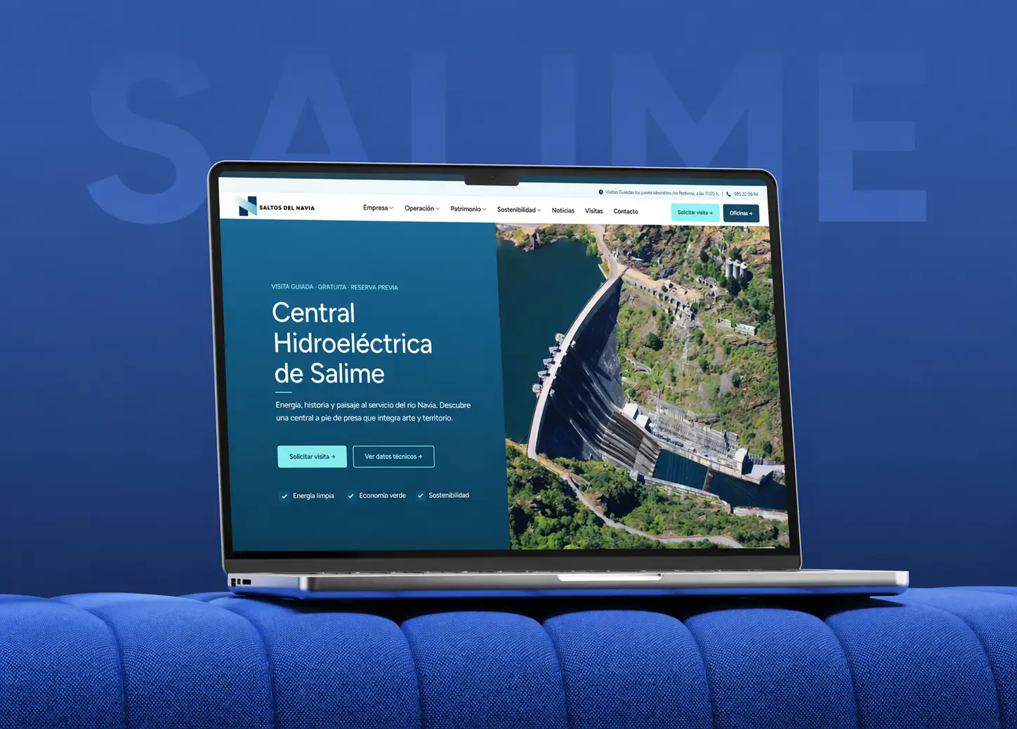 diseno de sitio web profesional cliente saltos del navia